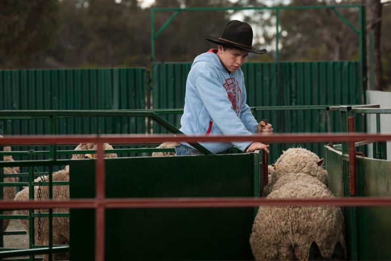 Cody Whitby, 13, competes in the juniors league at the West Wyalong yard dog trials.