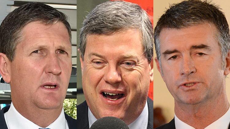 Mr Springborg, Mr Nicholls and Mr Mander.