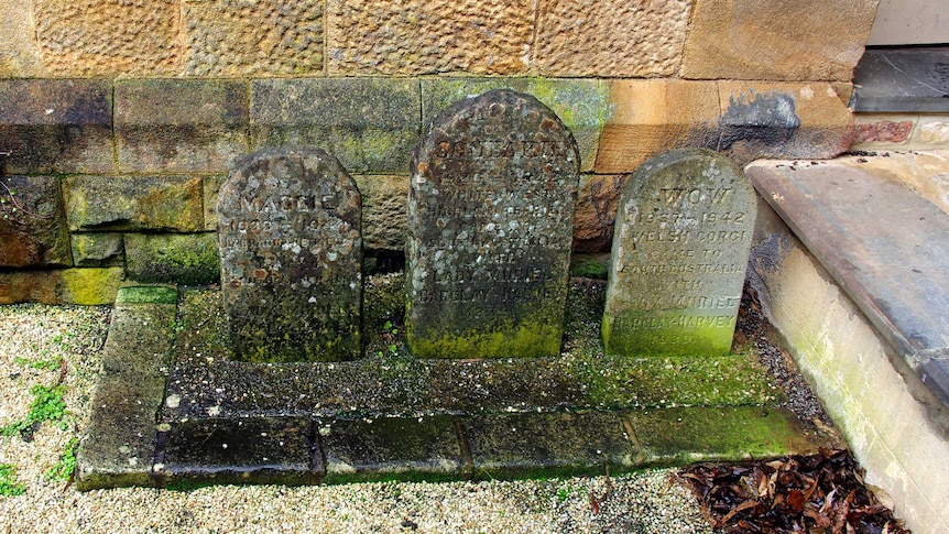 Three tombstones against a stone wall.