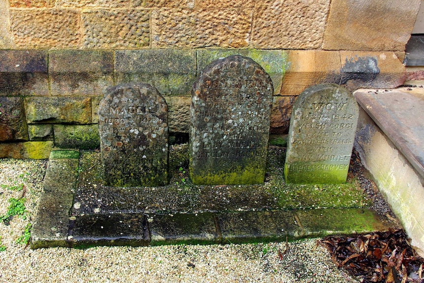 Three tombstones against a stone wall.