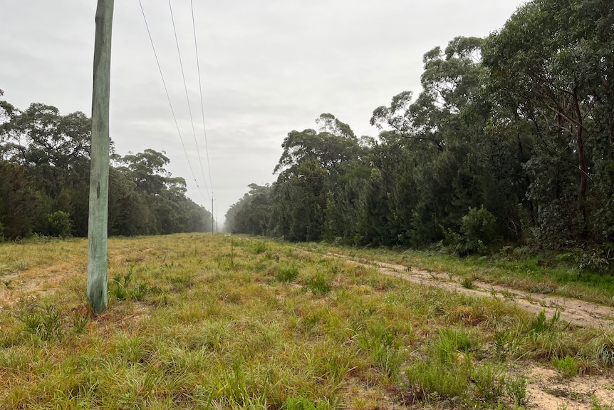 A field with a gravel road and power lines. 