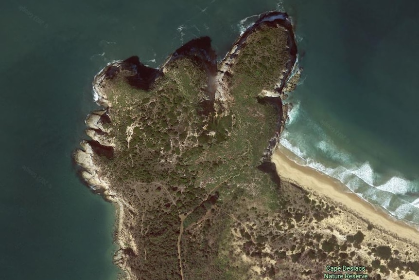 An aerial of a rocky outcrop surrounded by green water