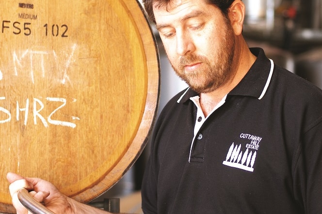 wine maker testing wine from a barrel