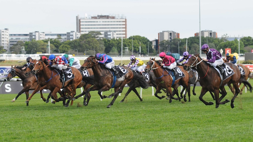 Boban sweeps down outside to win Epsom