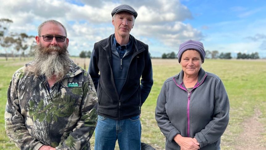 Three farmers stand in a paddock where a transmission line is proposed to be built.