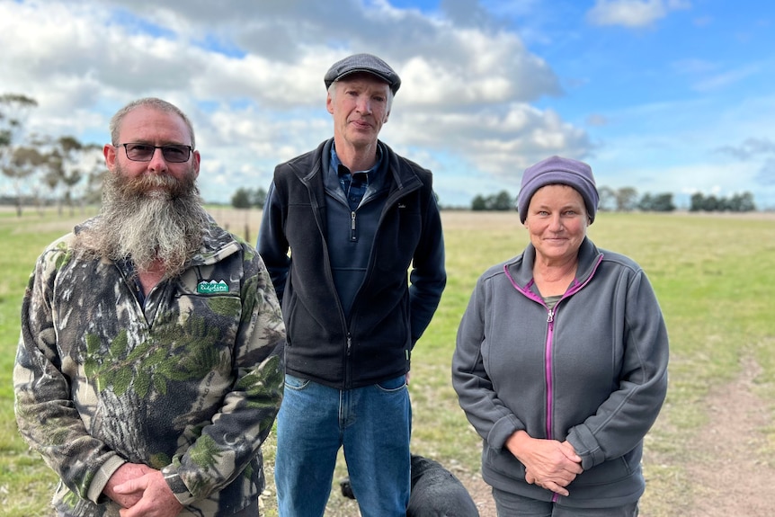 Three farmers stand in a paddock where a transmission line is proposed to be built.