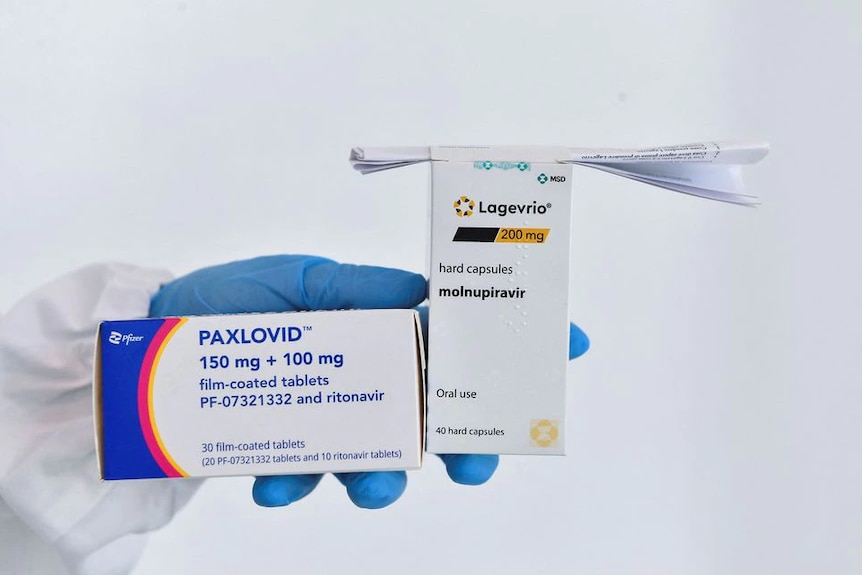 A human hand holds up two boxes of COVID antiviral drugs Rajevrio and Paxlovid.