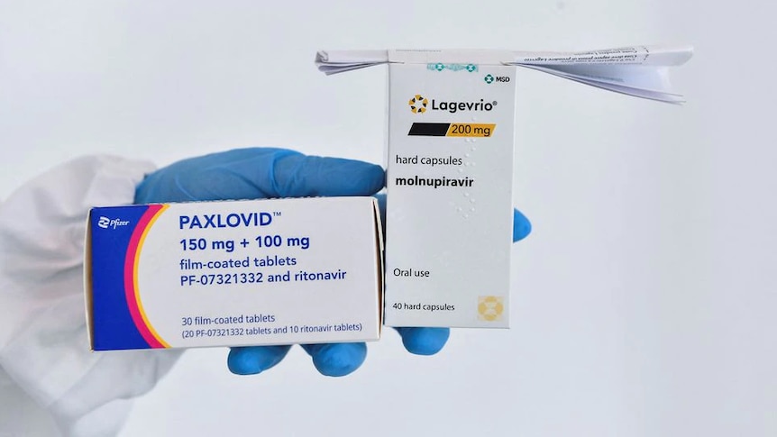 COVID-19 treatment pills, Paxlovid and Molnupiravir, in boxes