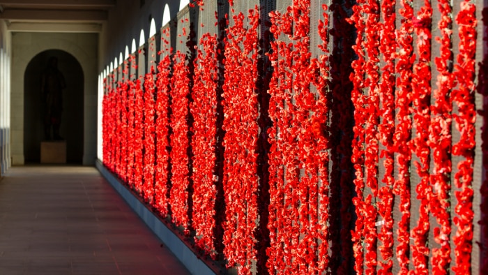 A corridor with a wall adorned with rows of red poppy flowers, leading to a dimly lit archway.