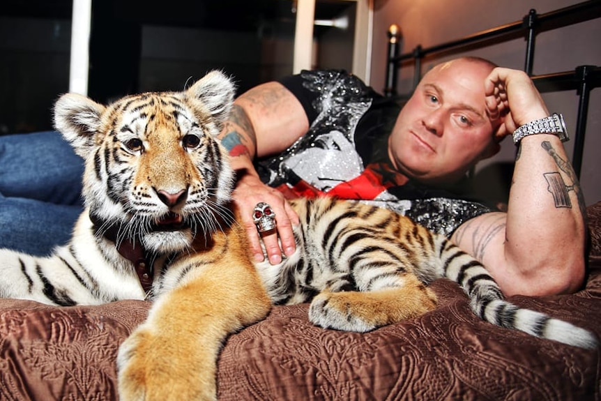 Tasmanian bodybuilder Wayne Howlett poses with a tiger in Russia.