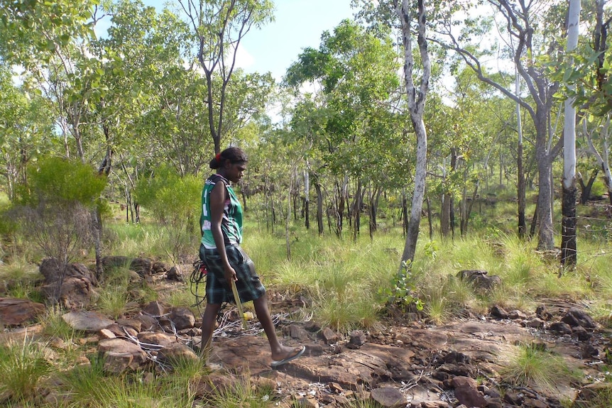 Aboriginal girl using a motion sensor for an animal survey