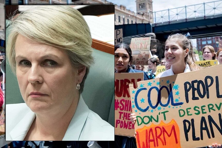 An insert image of Tanya Plibersek on an image of protesters with placards calling for action on climate change.