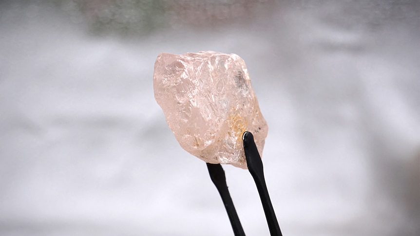 A large, pink diamond is held up by a pair of tweezers