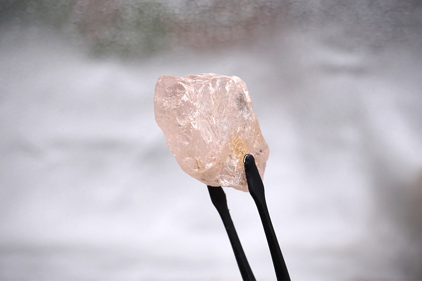 A large, pink diamond is held up by a pair of tweezers