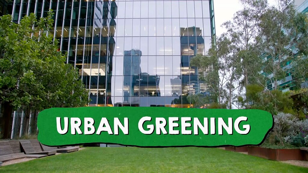 A lawn between two city buildings, text reads Urban Greening.