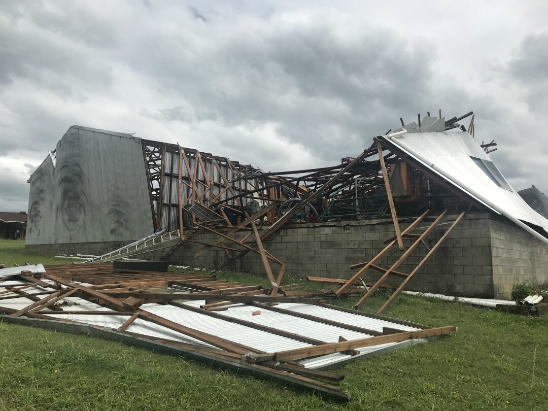 Beerwah macadamia and pineapple farmers in shock over storm damage