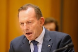 Abbott gestures with a grin as he sits on a committee bench inside parliament.