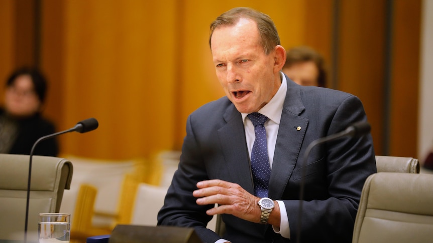 Abbott gestures with a grin as he sits on a committee bench inside parliament.