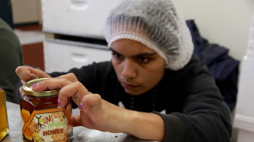 The Young Harvest job seeker program has found success using honey to attract workers