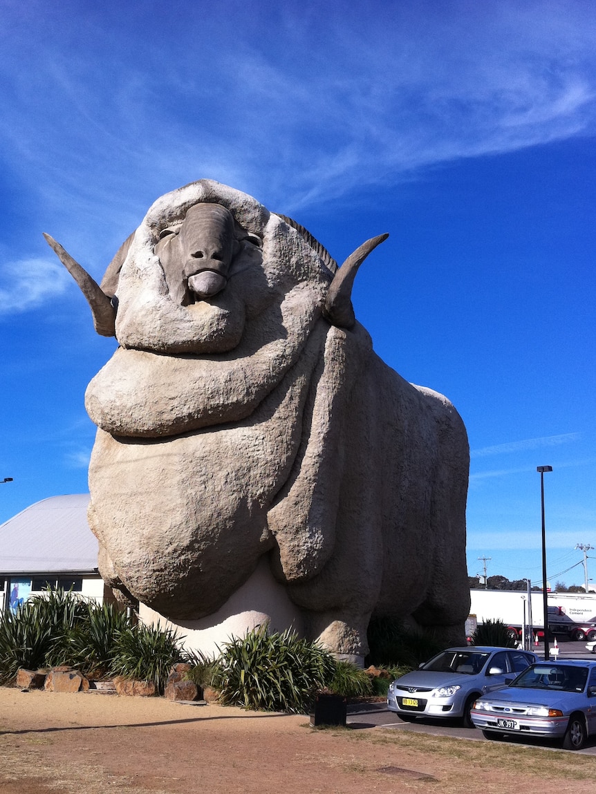 A huge concrete merino sheep structure dwarfs a nearby building and cars, with a blue sky background.