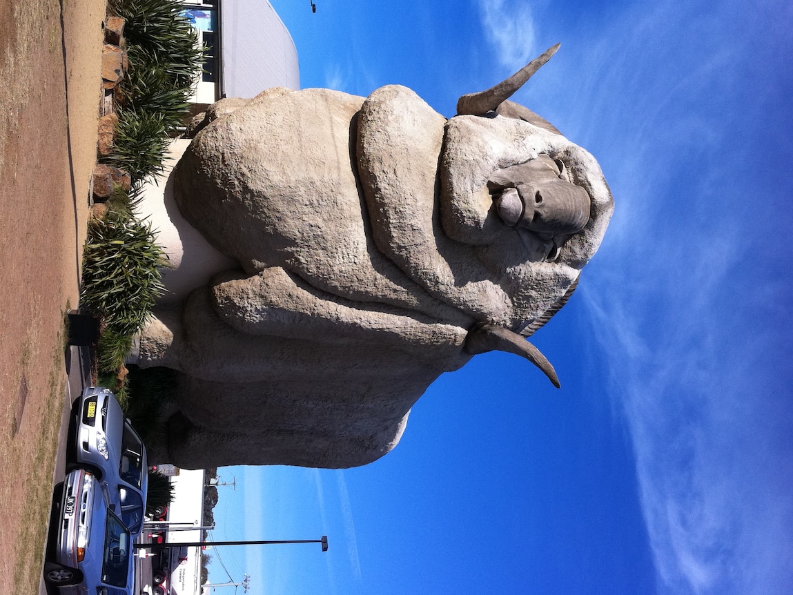 A huge concrete merino sheep structure dwarfs a nearby building and cars, with a blue sky background.