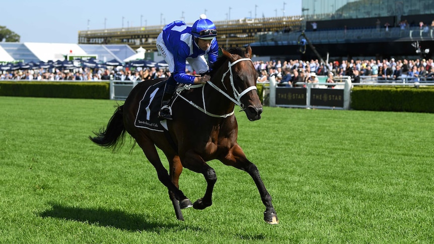 Jockey Hugh Bowman rides Winx for an exhibition gallop at Royal Randwick, in Sydney, 2019.