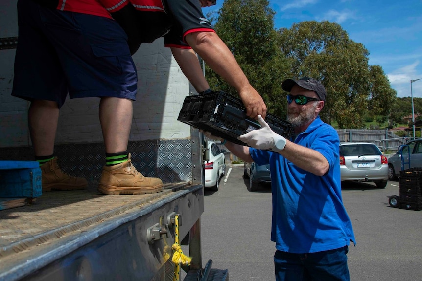 A man wearing sunglasses unloads food from a truck