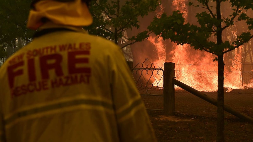 A firefighter in protective gear is seen from behind, watching as a bushfire rages behind a fence