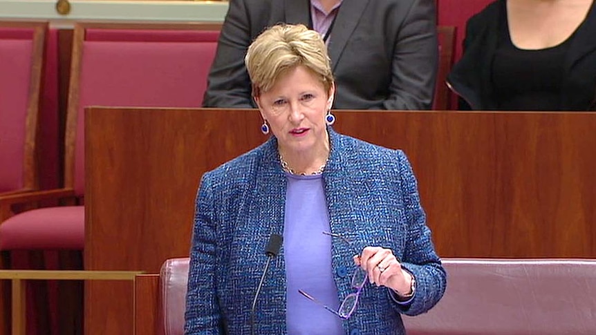VIDEO STILL: Former Greens leader Christine Milne during her last speech to the Senate on June 24, 2015