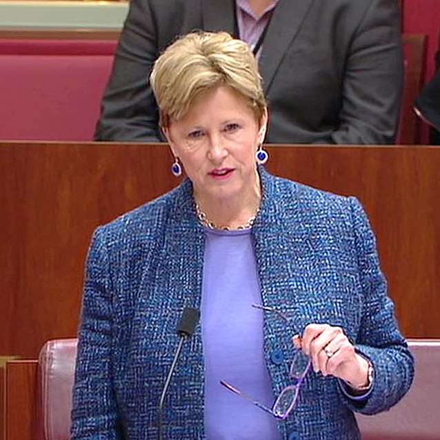 VIDEO STILL: Former Greens leader Christine Milne during her last speech to the Senate on June 24, 2015