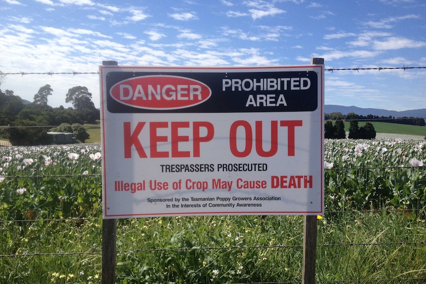 Opium poppy warning sign