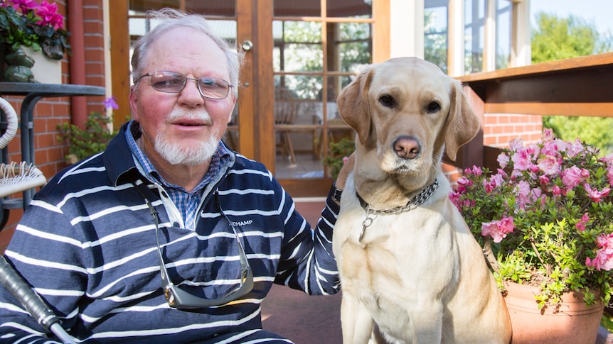 Paul Watkins has 6/36 vision and uses his white cane and three-year-old trained guide dog Holly for orientation and mobility.