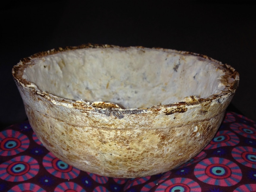 Bowl made out of coffee grounds and fungi mycelium