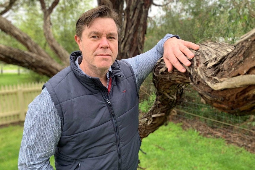 A man in a blue vest resting his left arm on a tree bough.