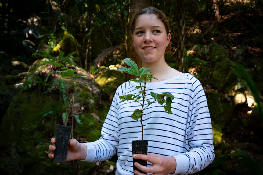 A young girl holds two tree seedlings in front of moss-covered rock in a forest.