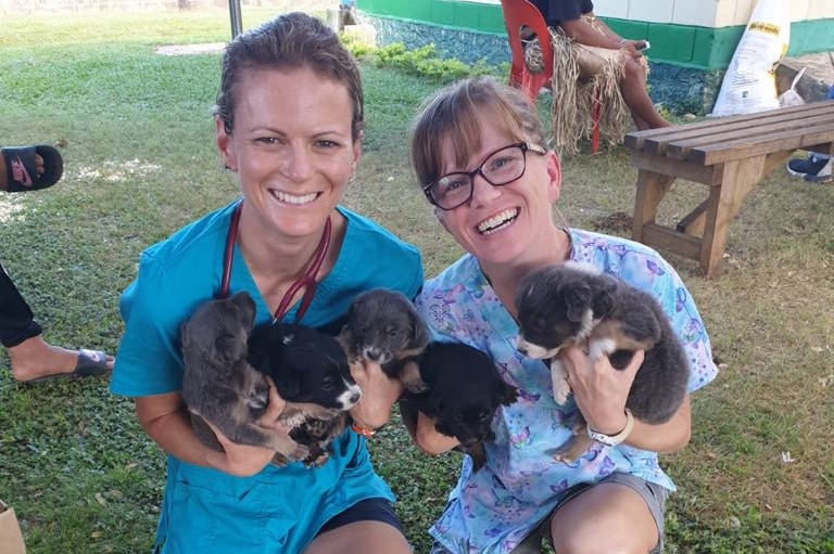 Two SPAW employees in scrubs pose with an armful of puppies, there are five puppies all up.
