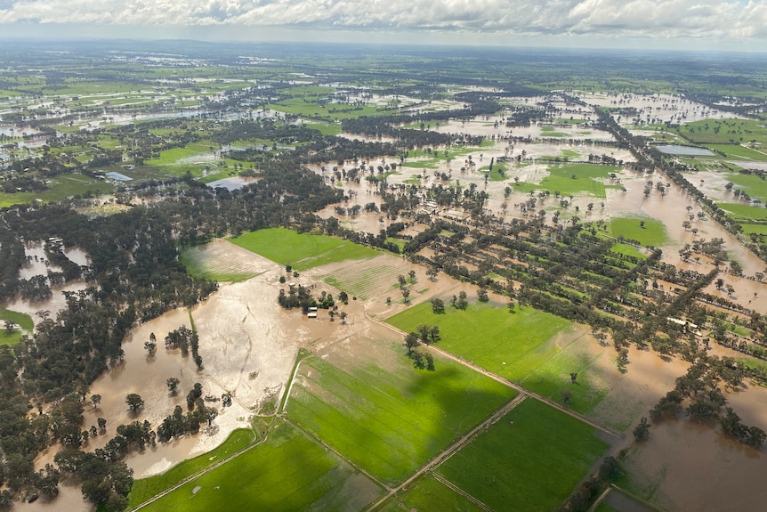 A bird's eye view of flooding across farmland in regional Victoria.