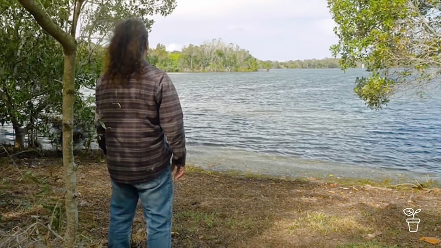 Man standing on waters edge amongst mangroves, looking out over water