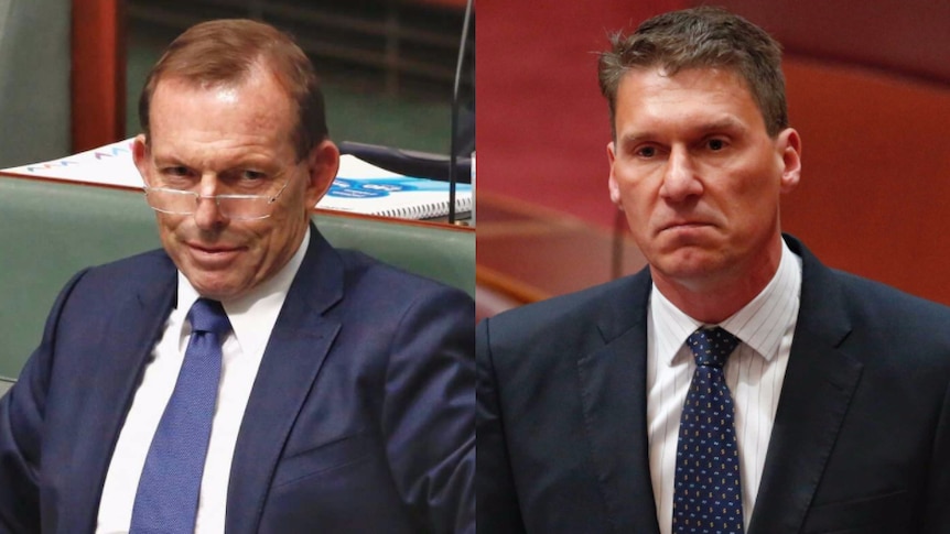 Tony Abbott with glasses on in parliament and Corey Bernardi standing