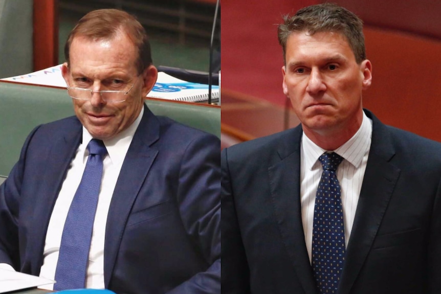 Tony Abbott with glasses on in parliament and Corey Bernardi standing