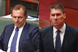 Tony Abbott with glasses on in parliament and Corey Bernardi standing