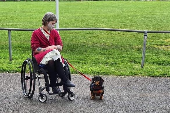A woman in a wheelchair with a small dog on a leash.
