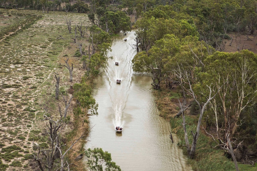 Dinghy Derby boats at Renmark