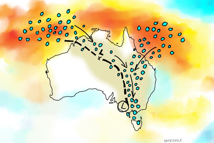 Illustration showing moisture moving down from northern oceans to the south-east of Australia