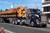 Log truck