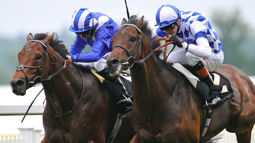 Al Kazeem wins Prince Of Wales's Stakes