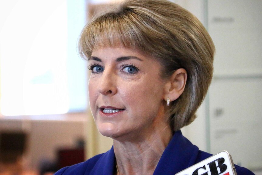 Michaelia Cash speaking at a press conference.