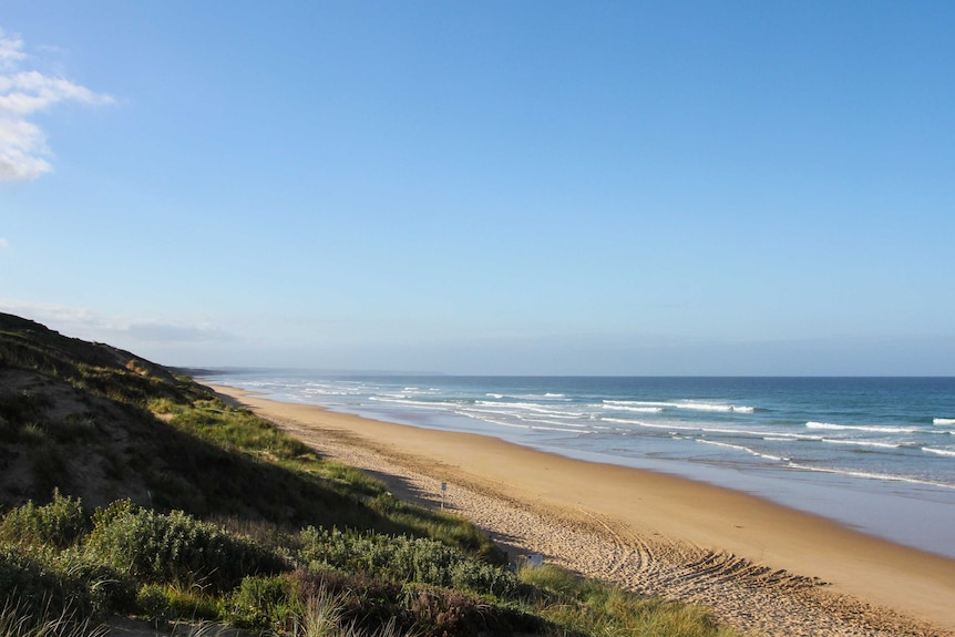 Venus Bay beach.