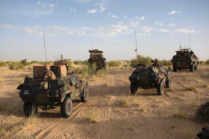 French tanks drive across the desert.