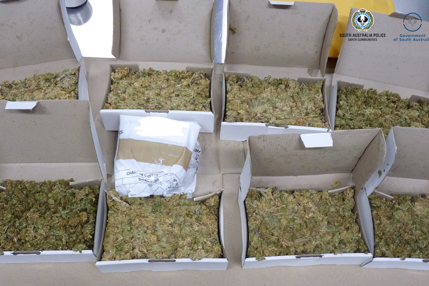 Huit boîtes de ce qui semble être du cannabis
